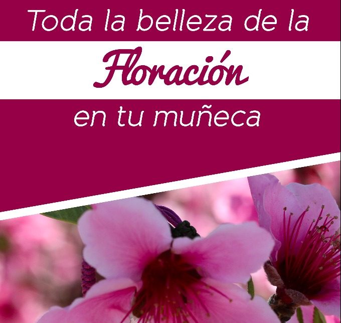 Sorteo pulsera Joyería Ordóñez